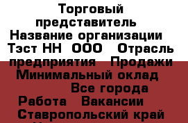 Торговый представитель › Название организации ­ Тэст-НН, ООО › Отрасль предприятия ­ Продажи › Минимальный оклад ­ 40 000 - Все города Работа » Вакансии   . Ставропольский край,Невинномысск г.